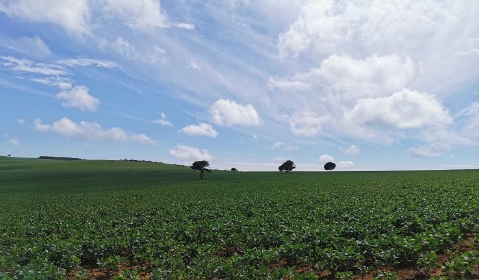 Cachoeiras Macaquinhos, Chapada dos Veadeiros: o esforço vale a pena! 5 Tela do Windows XP, Caminho para Cachoeiras Macaquinhos, Chapada dos Veadeiros