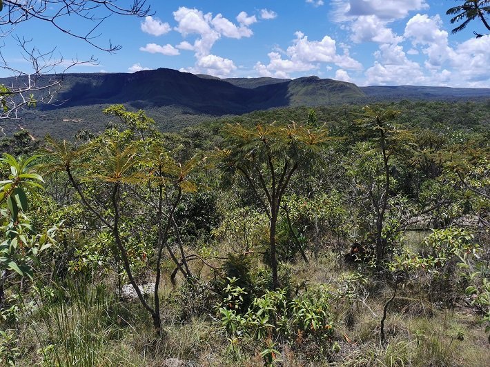 Chapada dos Veadeiros: 4 atrações para crianças e idosos 5 Vista da Chapada dos Veadeiros, Trilha Água Fria, Cachoeira dos Cristais