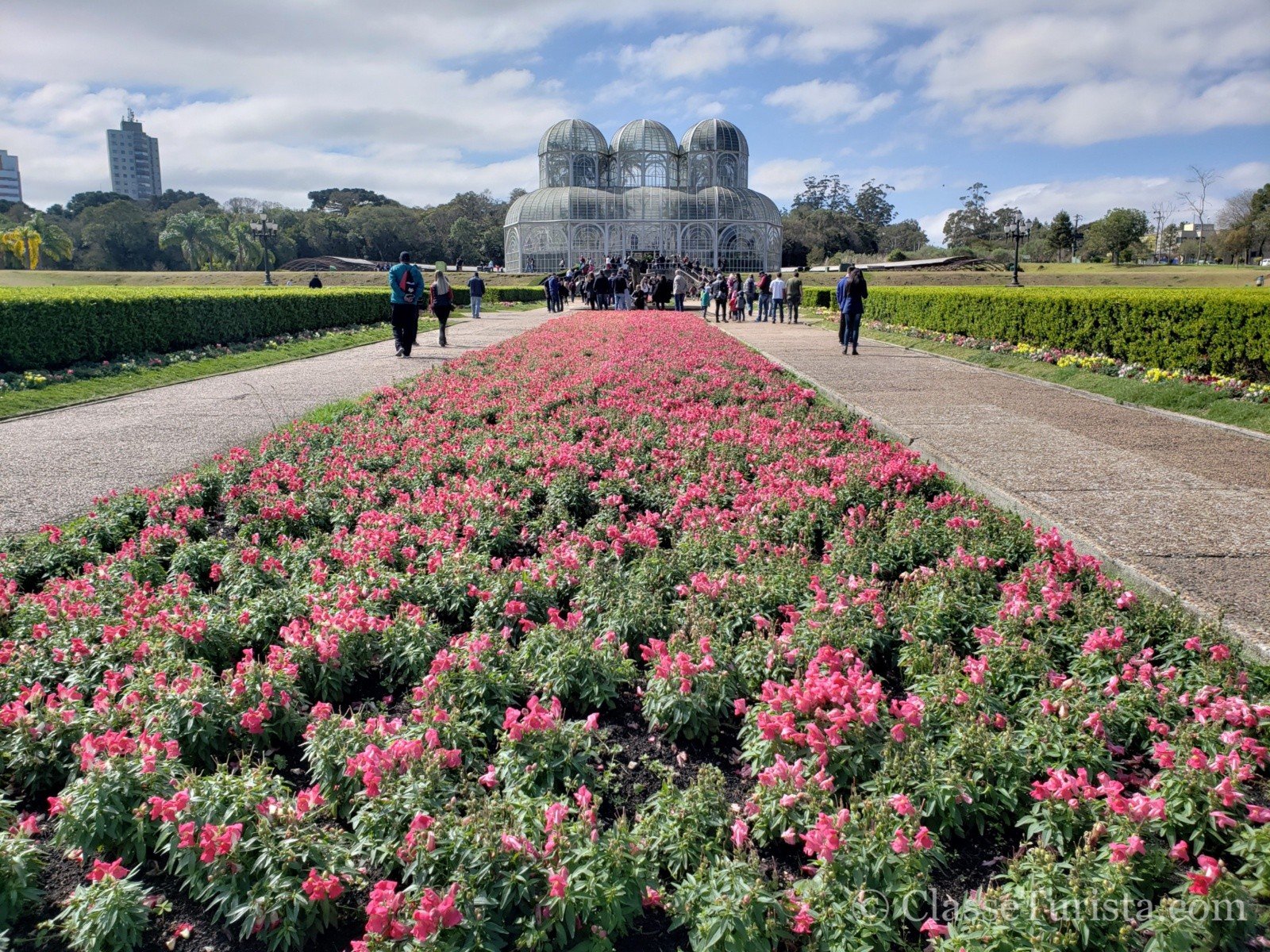 9 Motivos para visitar Curitiba: a cidade modelo 1 Jardim Botânico de Curitiba