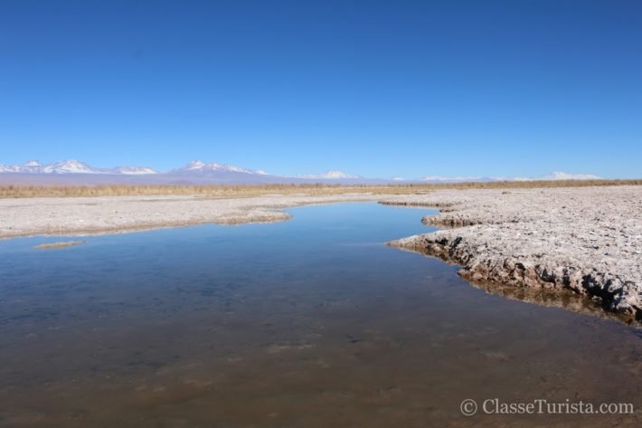 Atacama: conhecendo as Lagunas Cejar e Tebenquiche #2 9 Laguna Piedra