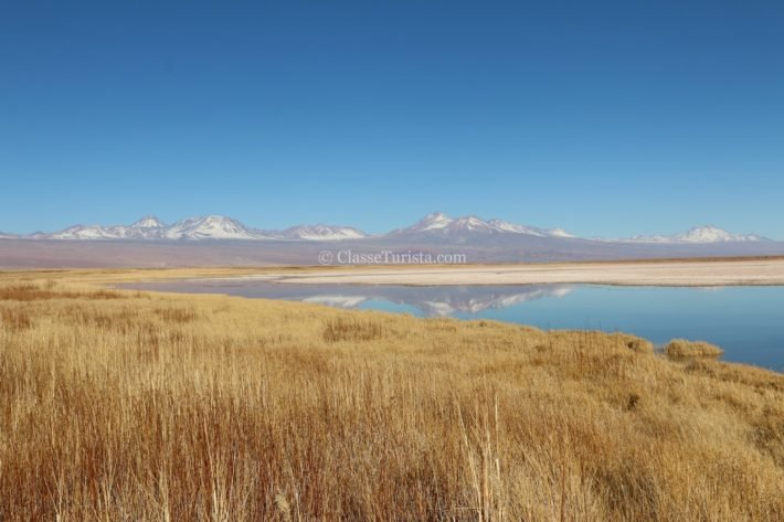 Atacama: conhecendo as Lagunas Cejar e Tebenquiche #2 8 Paisagem Laguna Cejar