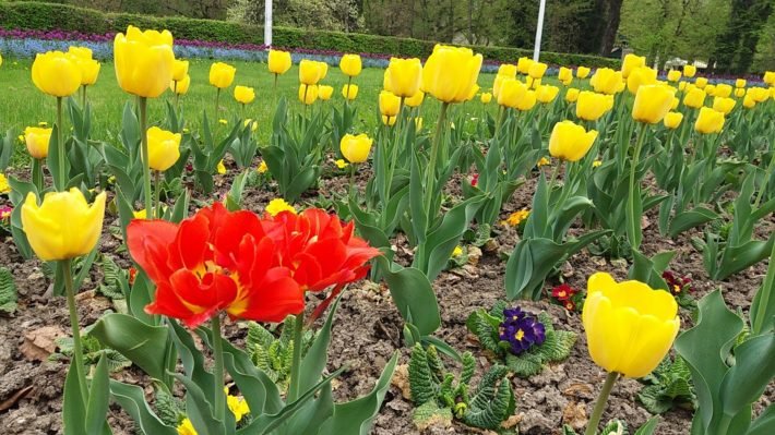 O que fazer em Zagreb, na Croácia? 20 Park Maksmir, Zagreb