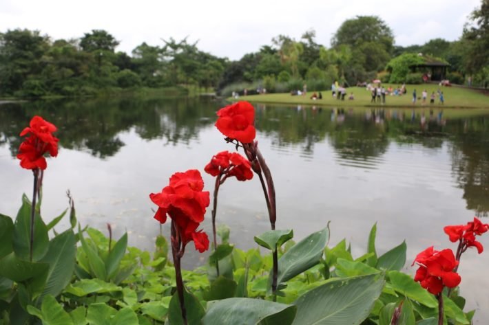 O que fazer em Singapura? As 10 atrações imperdíveis! 9 Singapore Botanic Gardens