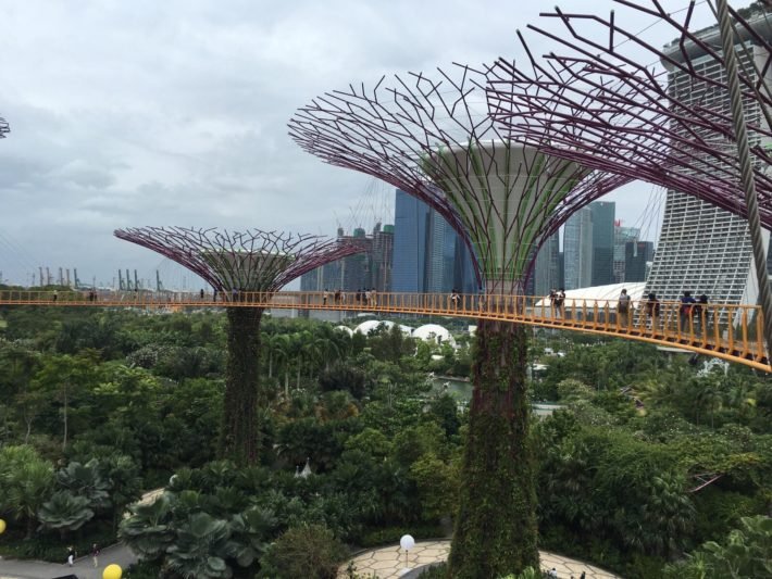 O que fazer em Singapura? As 10 atrações imperdíveis! 7 OCBD Skyway, Gardens by the Bay