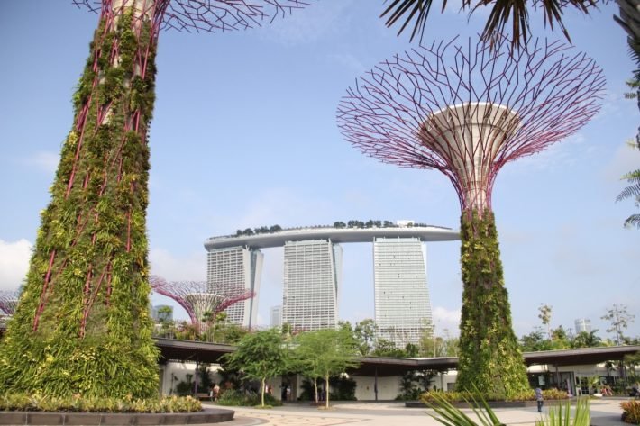 Gardens by the Bay: um incrível parque natural em Singapura 3 SuperTree Grove, Gardens by the Bay