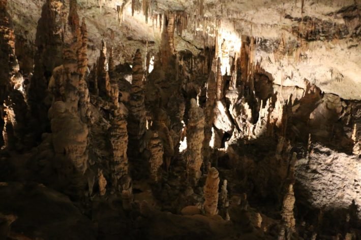 Relatos de Viagem à Eslovênia: pequeno país, muitos encantos 10 Cavernas de Postojna, Eslovênia