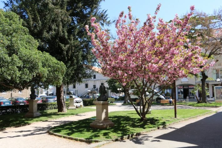 Uma parada em Zadar: uma das cidades mais antigas da Croácia 8 Zadar, Croácia