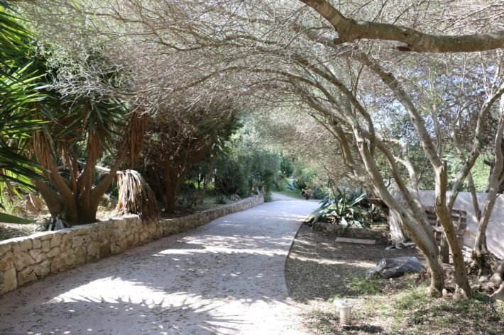 Split: passeio pelas ilhas Hvar, Brač e Sveti Klement 9 Ilha Sveti Klement