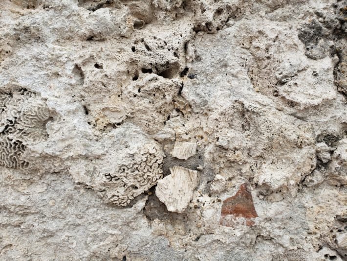 Pedra Coralina, Cartagena de Índias Pedra Coralina, Cartagena de Índias