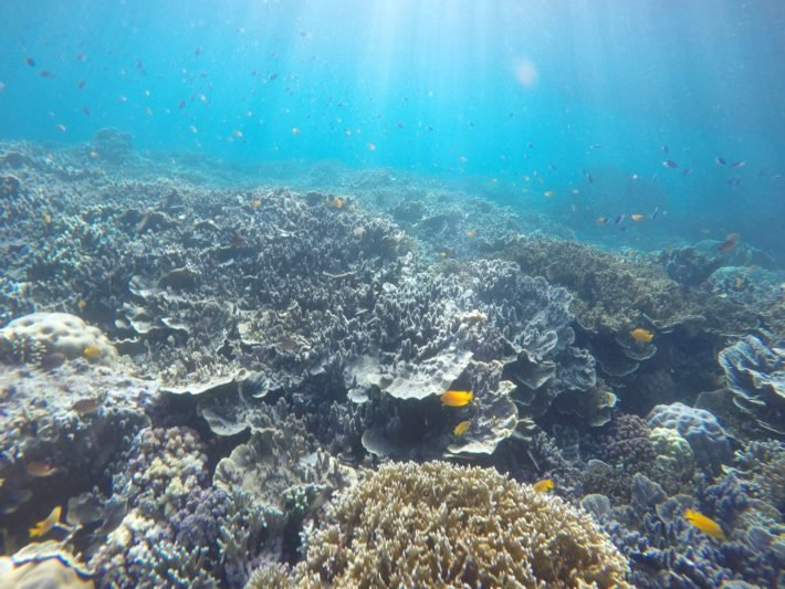 Pescador Island, Ilha de Cebu, Filipinas Pescador Island, Ilha de Cebu, Filipinas