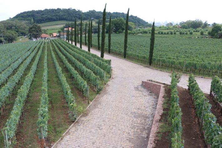 Entrada da Vinícola Almaúnica, Vale dos Vinhedos, Bento Gonçalves Entrada da Vinícola Almaúnica, Vale dos Vinhedos, Bento Gonçalves