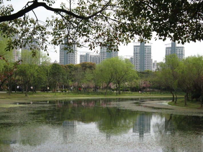 Century Park, Xangai, China Century Park, Xangai, China