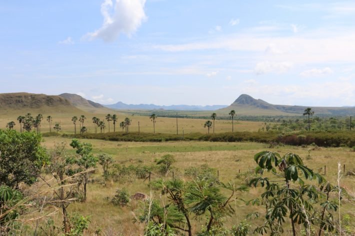 Jardim de Maytrea, Chapada dos Veadeiros Jardim de Maytrea, Chapada dos Veadeiros