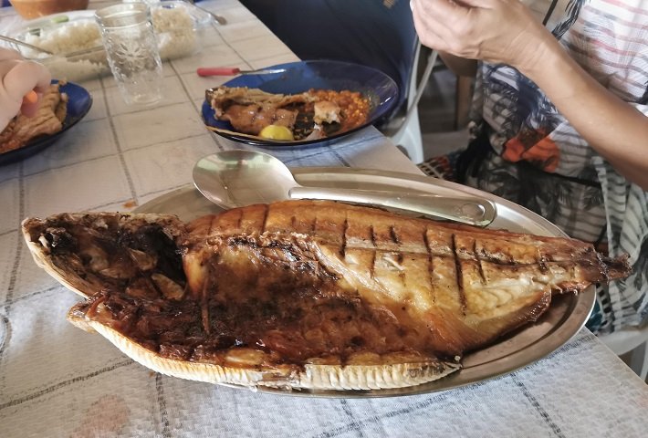 Floresta Nacional do Tapajós - Flona: um passeio imperdível em Alter do Chão 17 Almoço, Restaurante Dona Conceição, Comunidade de Jamaraquá, Flona