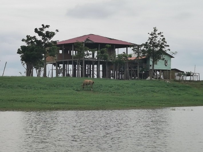 Canal do Jari: paraíso ecológico nos arredores de Alter do Chão 4 Casas de Palafitas, Canal do Jari, Pará