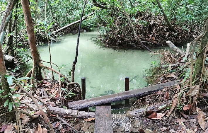 Floresta Nacional do Tapajós - Flona: um passeio imperdível em Alter do Chão 16 Igarapé de Jamaraquá, Floresta Nacional do Tapajós, Flona