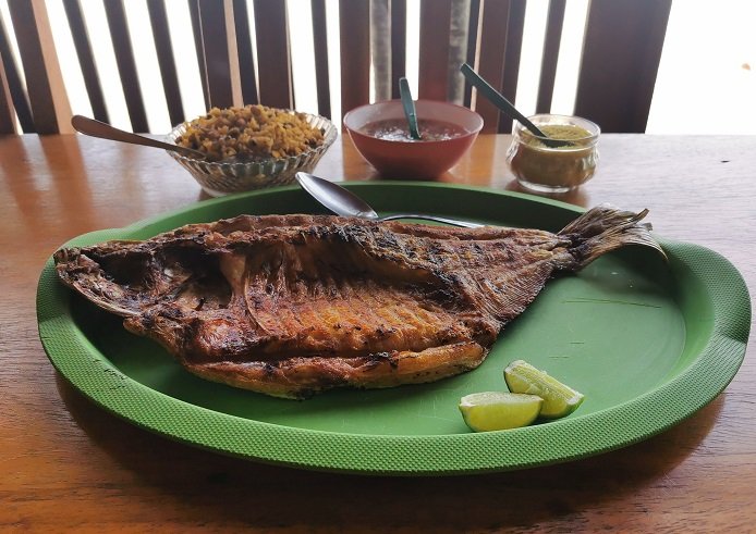Alter do Chão: os 7 melhores restaurantes do 'Caribe Amazônico' 8 Tambaqui, Restaurante Panela de Barro, Ponta das Pedras