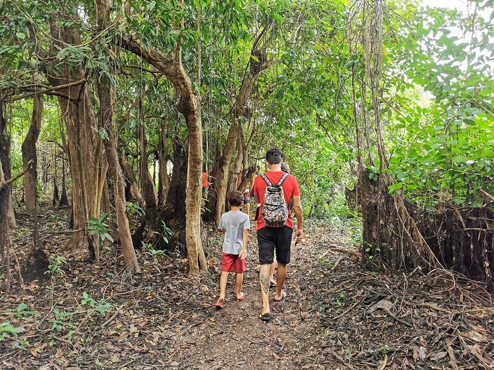 Canal do Jari: paraíso ecológico nos arredores de Alter do Chão 5 Trilha das Preguiças, Canal do Jari, Pará