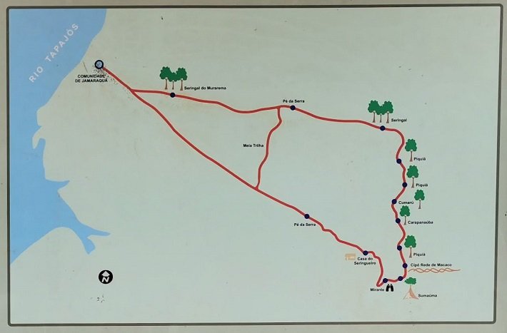 Floresta Nacional do Tapajós - Flona: um passeio imperdível em Alter do Chão 5 Trilha do Piquiá, Floresta Nacional do Tapajós (Flona)
