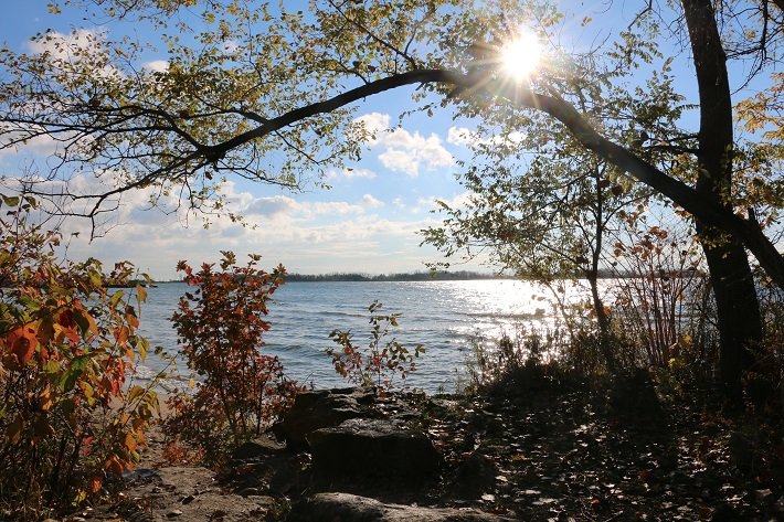 9 destinos turísticos para conhecer no Outono 5 Toronto Island