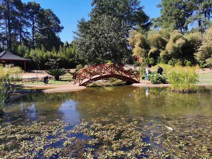 10 parques públicos para conhecer em Brasília 22 Jardim Japonês, Jardim Botânico de Brasília