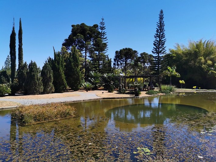 10 parques públicos para conhecer em Brasília 21 Lago no Jardim Botânico de Brasília
