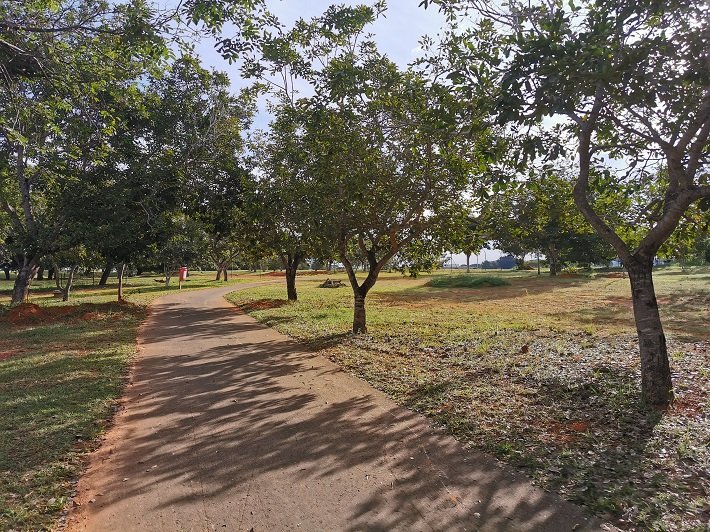 10 parques públicos para conhecer em Brasília 12 Parque Ecológico da Asa Sul, Brasília