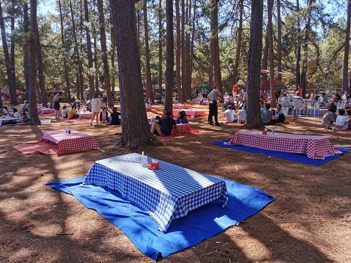 10 parques públicos para conhecer em Brasília 23 Piquenique no Jardim Botânico de Brasília