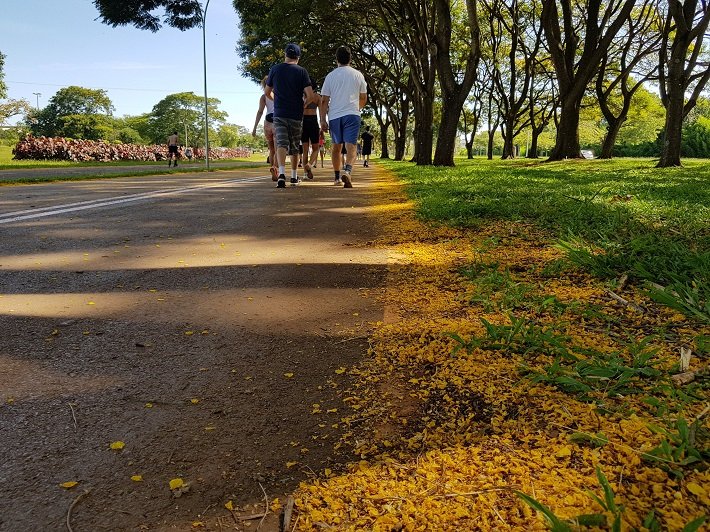 10 parques públicos para conhecer em Brasília 8 Pista de Caminhada, Parque da Cidade, Brasília