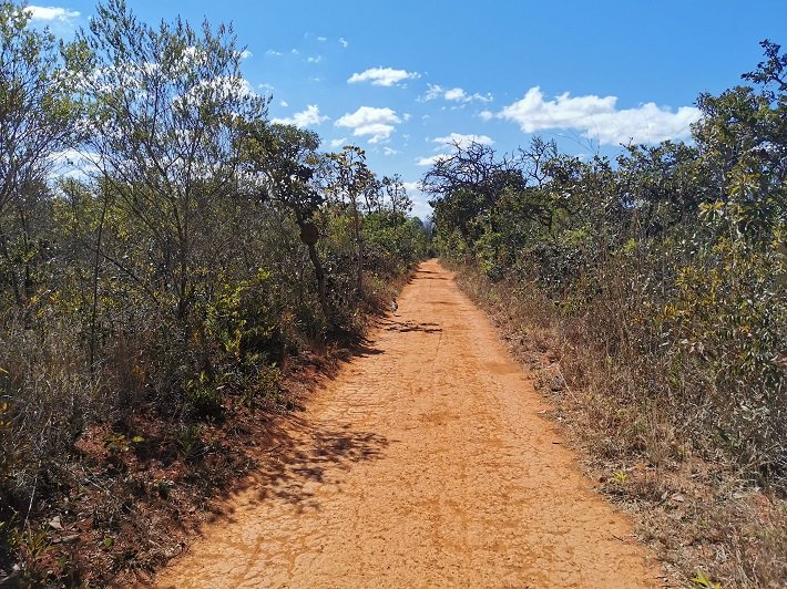 10 parques públicos para conhecer em Brasília 10 Trilha do Parque Nacional de Brasília