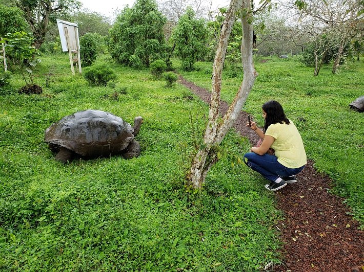El Chato: o paraíso das tartarugas gigantes em Galápagos 1 Foto com Tartaruga Gigante, Rancho El Chato, Ilha de Santa Cruz, Galápagos, Equador