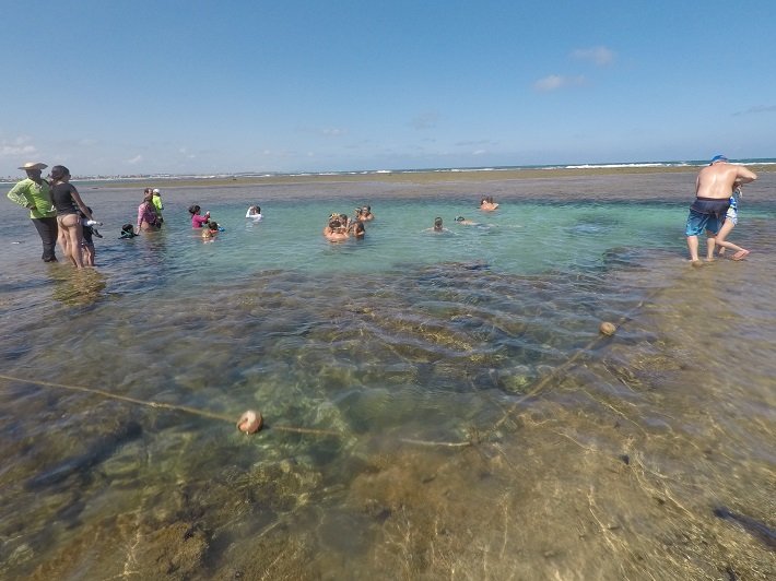 Não vá a Porto de Galinhas sem ler essas dicas! 2 Piscina Natural, Porto de Galinhas, Pernambuco